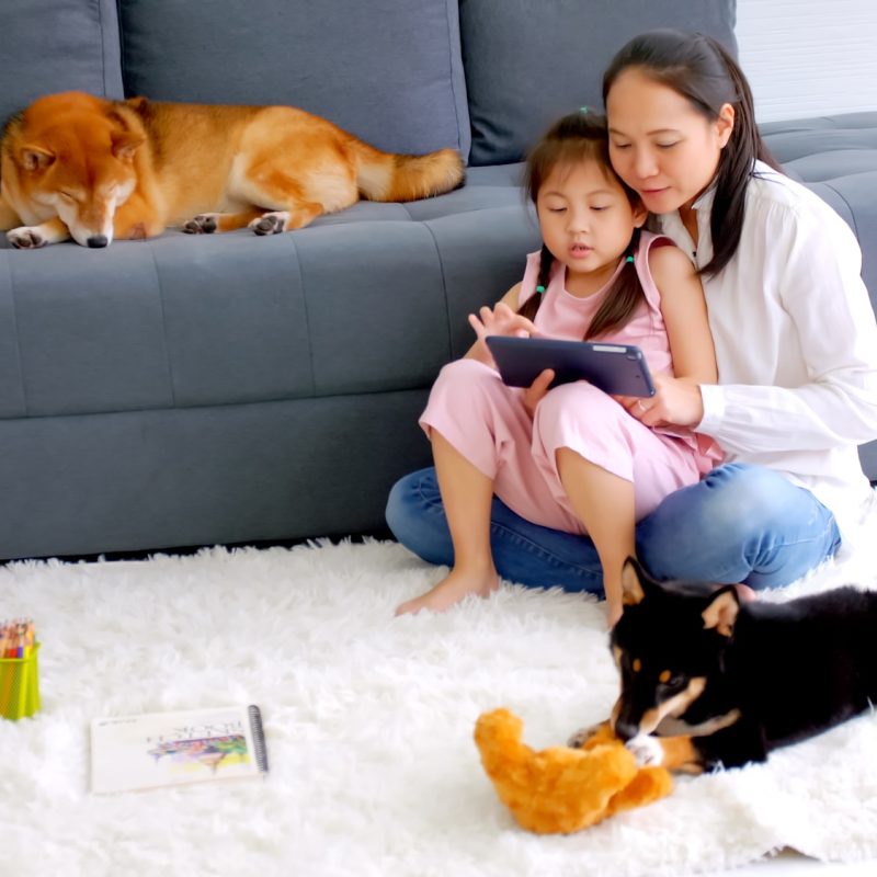 Mother and little daughter with their dog spending time together at home. Mother and little daughter with their dog spending time together at home.